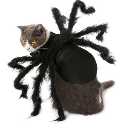 Dog Cat Spider Costume for Halloween Party Decoration, Halloween Cosplay Costumes for Small Dogs and Cat, Puppy Cat Dress up Accessories Black