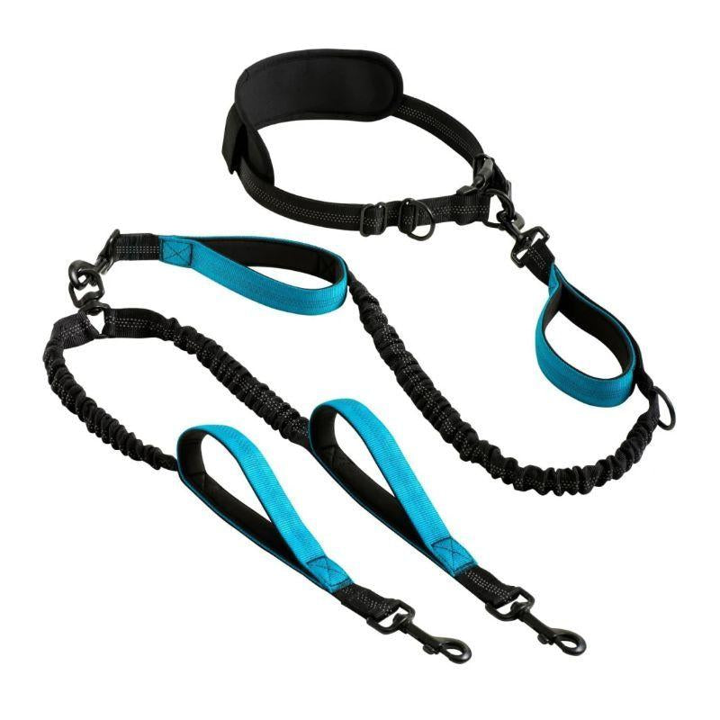 Hands Free Double Dog Leash – Dual Leash for Medium and Large Breeds – Lead for 2 Dogs with Padded Handles, Reflective Stitches, No Pull, Tangle Free