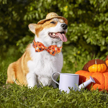 Halloween Dog Collar, Adjustable Ghost & Pumpkin Collar with Bowtie, Birthday Gift for Dogs of All Sizes