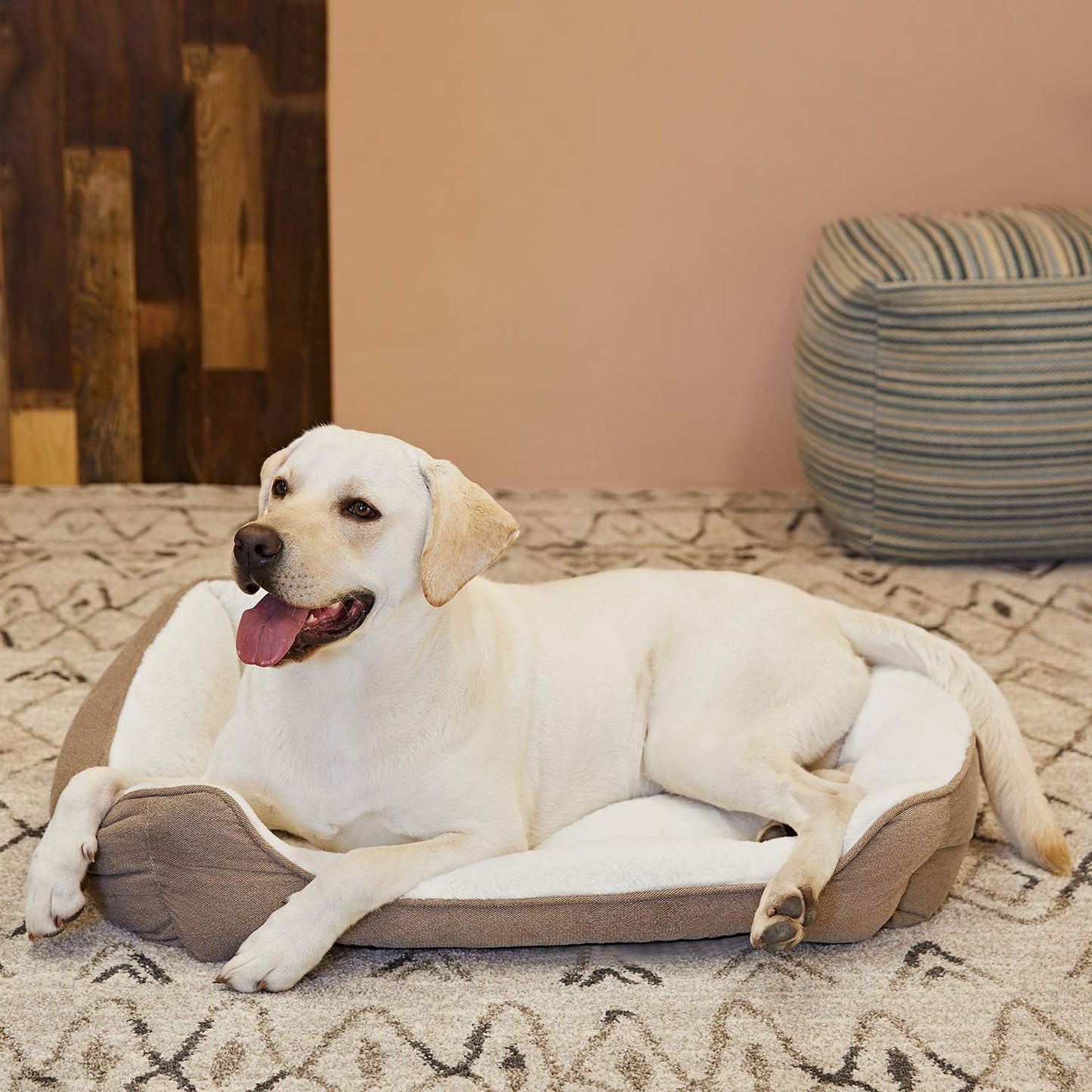 Cozy & Durable Square Dog Bed - Machine Washable for Medium Dogs
