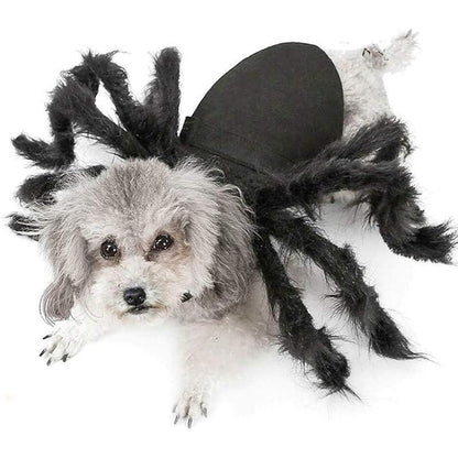 Dog Cat Spider Costume for Halloween Party Decoration, Halloween Cosplay Costumes for Small Dogs and Cat, Puppy Cat Dress up Accessories Black
