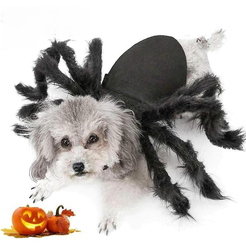 Dog Cat Spider Costume for Halloween Party Decoration, Halloween Cosplay Costumes for Small Dogs and Cat, Puppy Cat Dress up Accessories Black