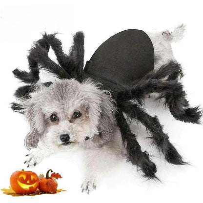 Dog Cat Spider Costume for Halloween Party Decoration, Halloween Cosplay Costumes for Small Dogs and Cat, Puppy Cat Dress up Accessories Black
