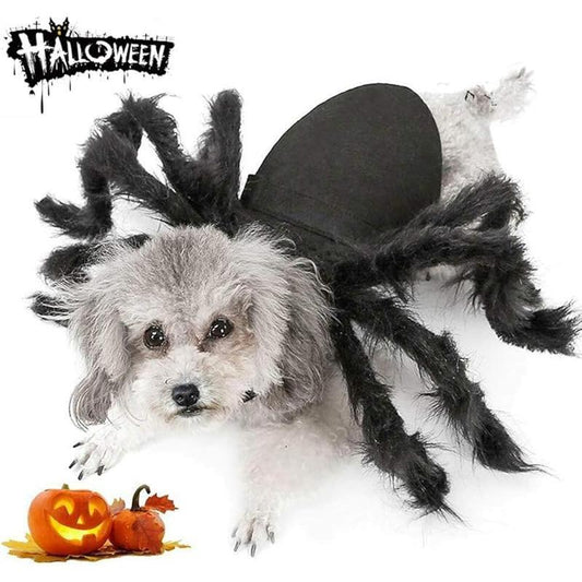 Dog Cat Spider Costume for Halloween Party Decoration, Halloween Cosplay Costumes for Small Dogs and Cat, Puppy Cat Dress up Accessories Black