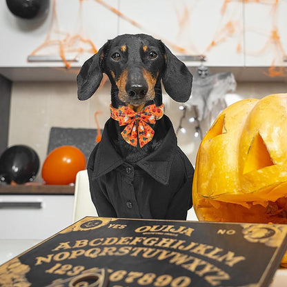 Halloween Dog Collar, Adjustable Ghost & Pumpkin Collar with Bowtie, Birthday Gift for Dogs of All Sizes