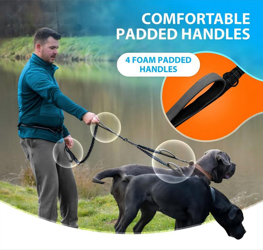 Hands Free Double Dog Leash – Dual Leash for Medium and Large Breeds – Lead for 2 Dogs with Padded Handles, Reflective Stitches, No Pull, Tangle Free