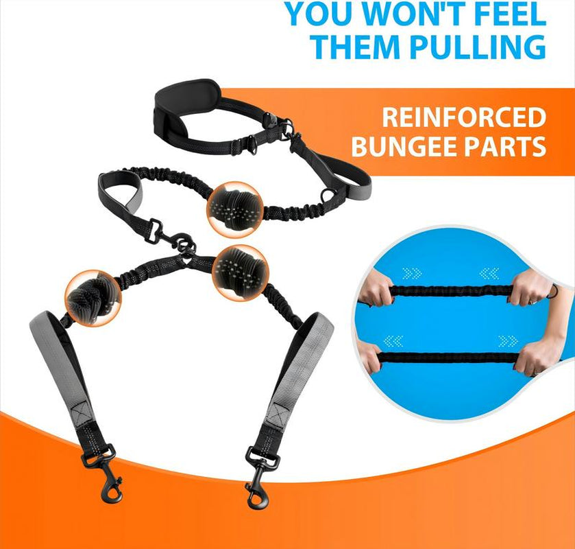 Hands Free Double Dog Leash – Dual Leash for Medium and Large Breeds – Lead for 2 Dogs with Padded Handles, Reflective Stitches, No Pull, Tangle Free