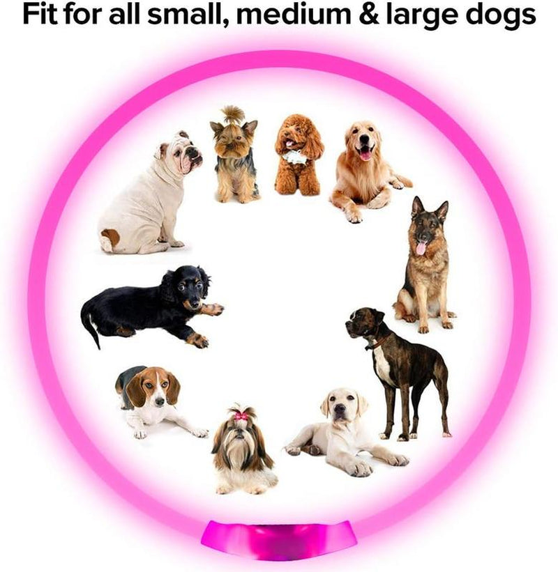 [LED Dog Collar] USB Rechargeable LED Dog Collar - Light up Adjustable Pet Collar with 3 Modes, 360° Glow Safety Necklace for Small/Medium/Large Dogs - TPU Cuttable Puppy Collar for Night Walking, Running, Hunting