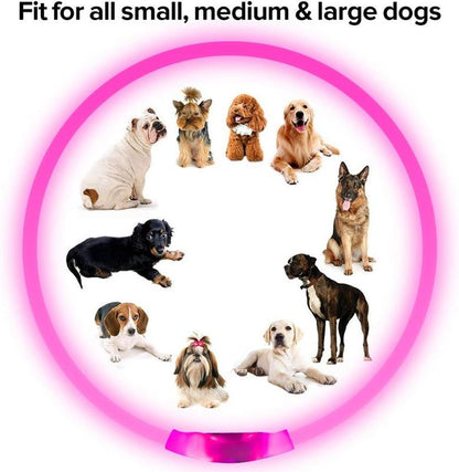 [LED Dog Collar] USB Rechargeable LED Dog Collar - Light up Adjustable Pet Collar with 3 Modes, 360° Glow Safety Necklace for Small/Medium/Large Dogs - TPU Cuttable Puppy Collar for Night Walking, Running, Hunting