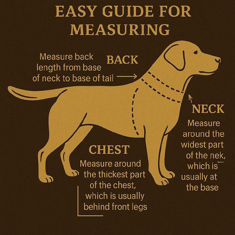 Dog T-Shirt – Quick Dry, Soft Stretchy, Lightweight & Breathable Summer Wear for Small & Big Dogs, Machine Washable Costumes Clothes