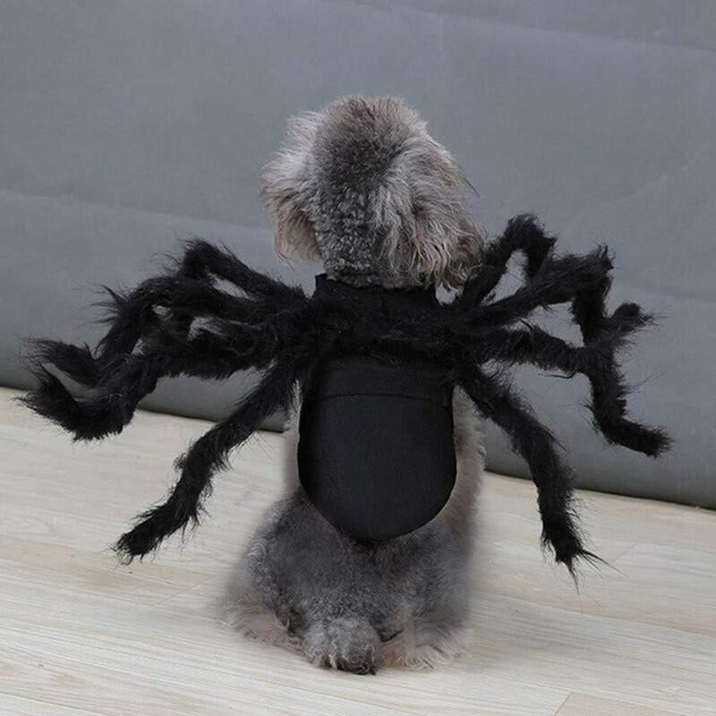 Dog Cat Spider Costume for Halloween Party Decoration, Halloween Cosplay Costumes for Small Dogs and Cat, Puppy Cat Dress up Accessories Black