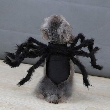 Dog Cat Spider Costume for Halloween Party Decoration, Halloween Cosplay Costumes for Small Dogs and Cat, Puppy Cat Dress up Accessories Black