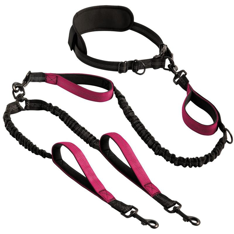 Hands Free Double Dog Leash – Dual Leash for Medium and Large Breeds – Lead for 2 Dogs with Padded Handles, Reflective Stitches, No Pull, Tangle Free