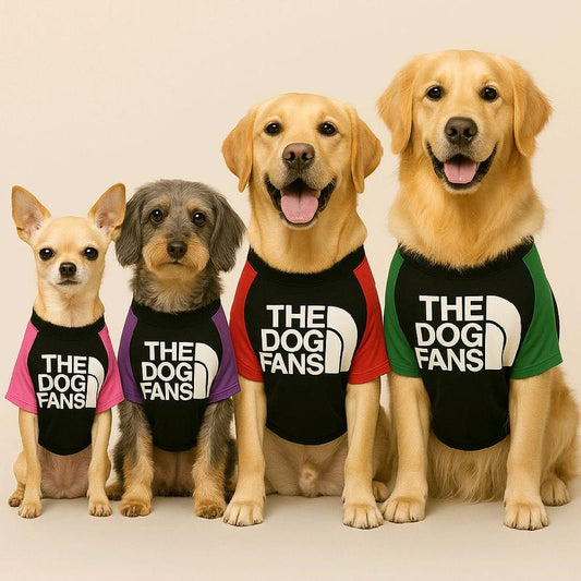 Dog T-Shirt – Quick Dry, Soft Stretchy, Lightweight & Breathable Summer Wear for Small & Big Dogs, Machine Washable Costumes Clothes